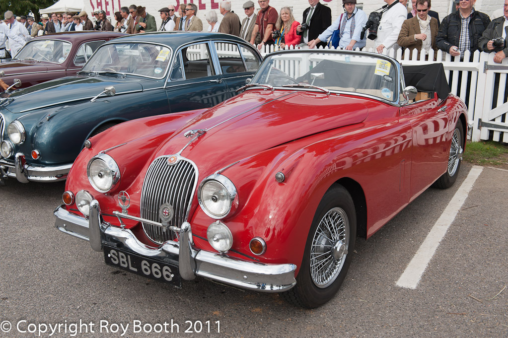 RWB_20110916_114247DSC_8185