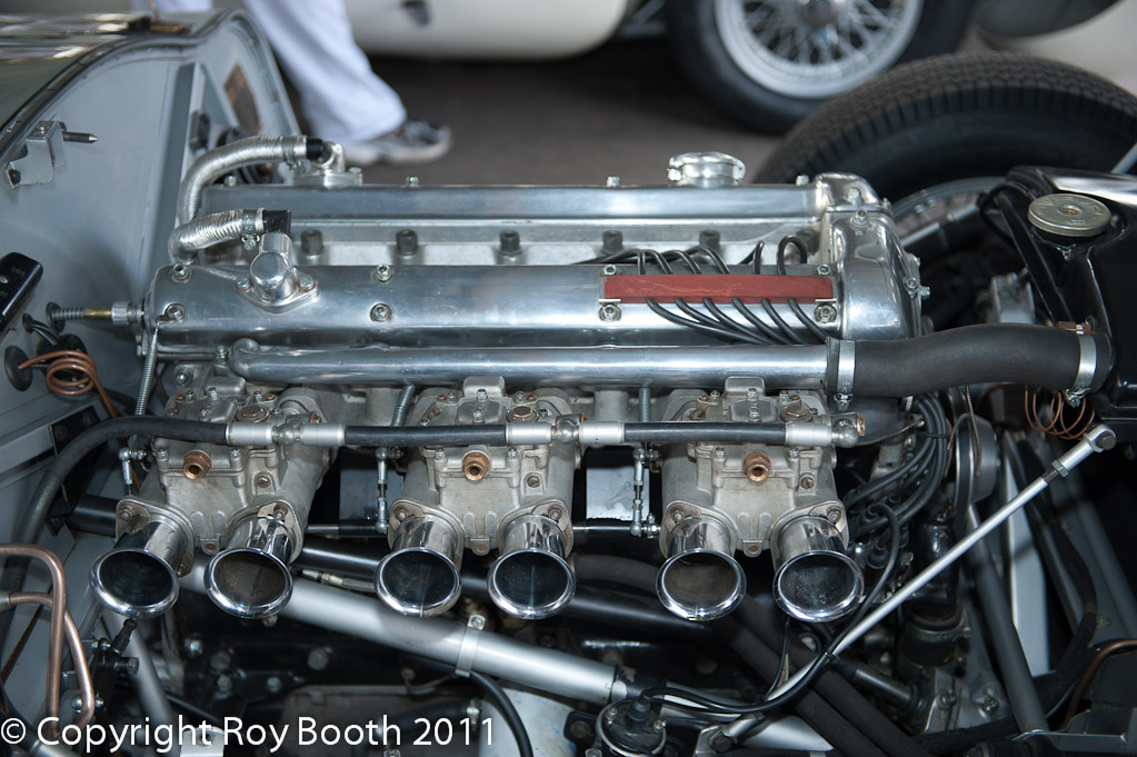 RWB_20110916_130934DSC_8215