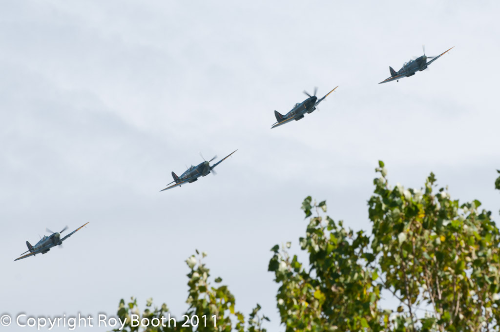 RWB_20110918_135256_D3G8510