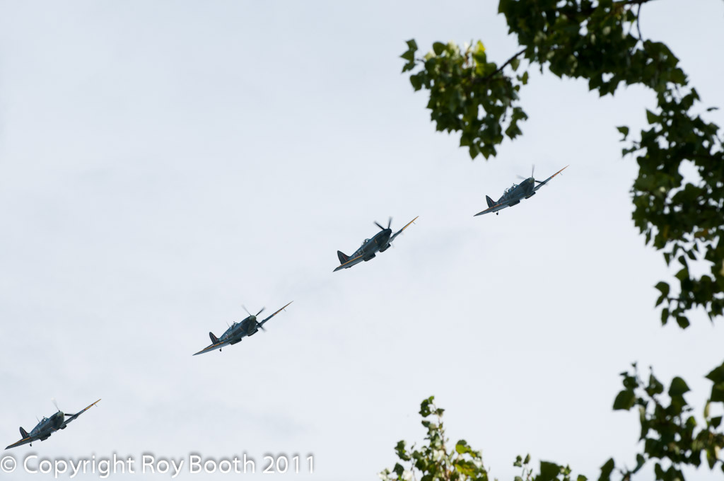 RWB_20110918_135256_D3G8511